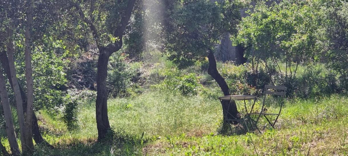 Les Bois De Zola Entre Provence Et Luberon Aparthotel Saint-Esteve-Janson Bilik gambar