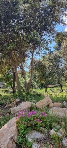 Les Bois De Zola Entre Provence Et Luberon Aparthotel Saint-Esteve-Janson Luaran gambar