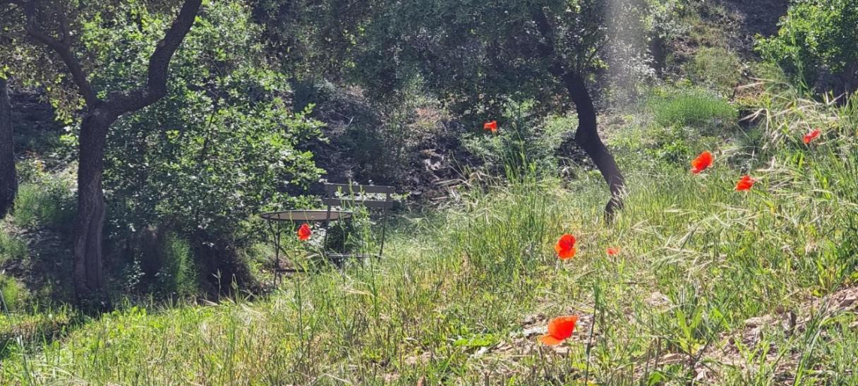 Les Bois De Zola Entre Provence Et Luberon Aparthotel Saint-Esteve-Janson Luaran gambar